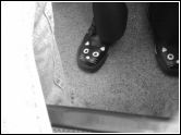 chaussures-chat