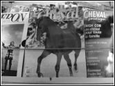 cheval-magazine