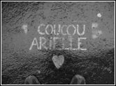 coucou-arielle